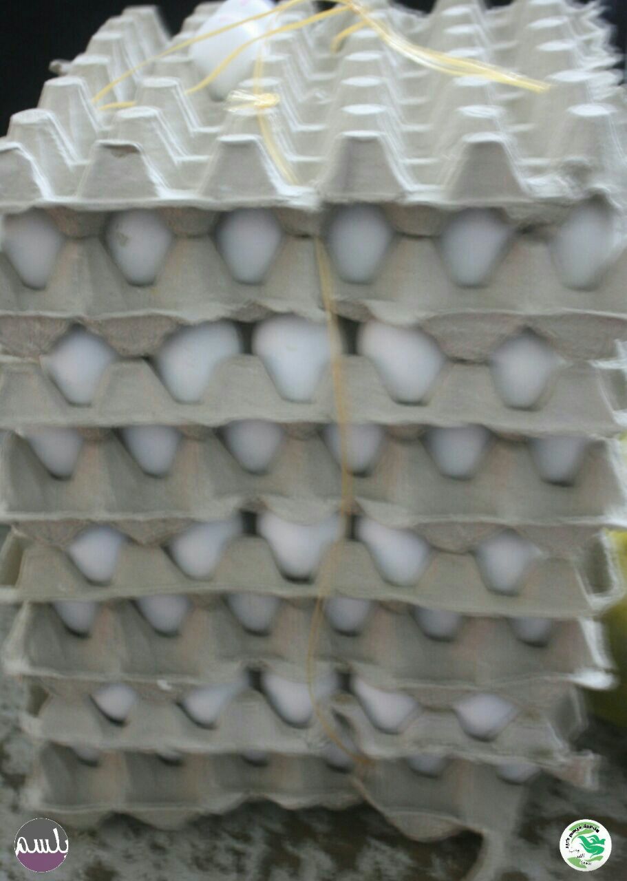 425216557_134112.jpg